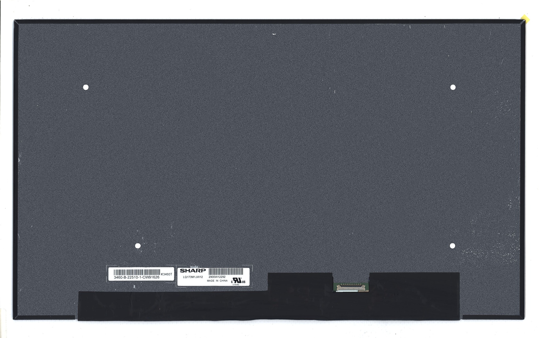 Матрица LQ173M1JW12