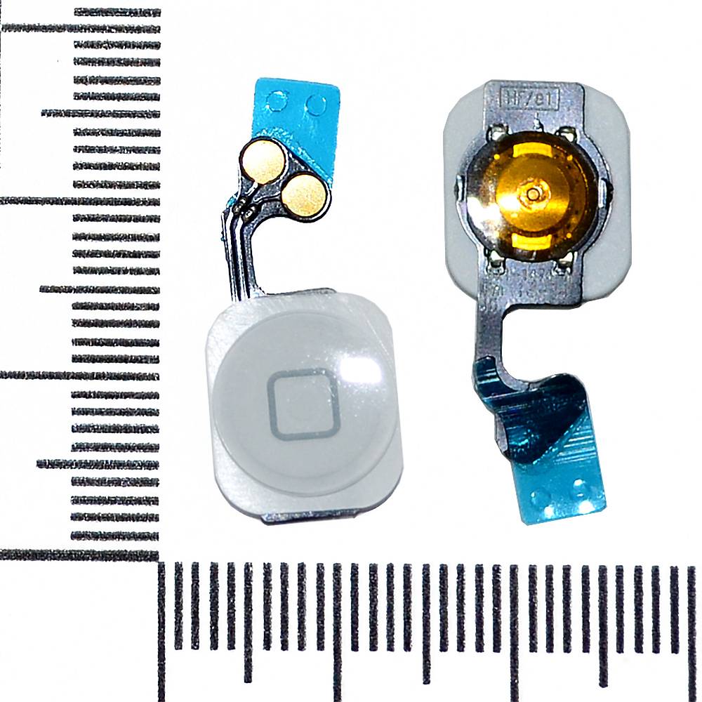 Механизм кнопки HOME iPhone 5 с толкателем и шлейфом белый