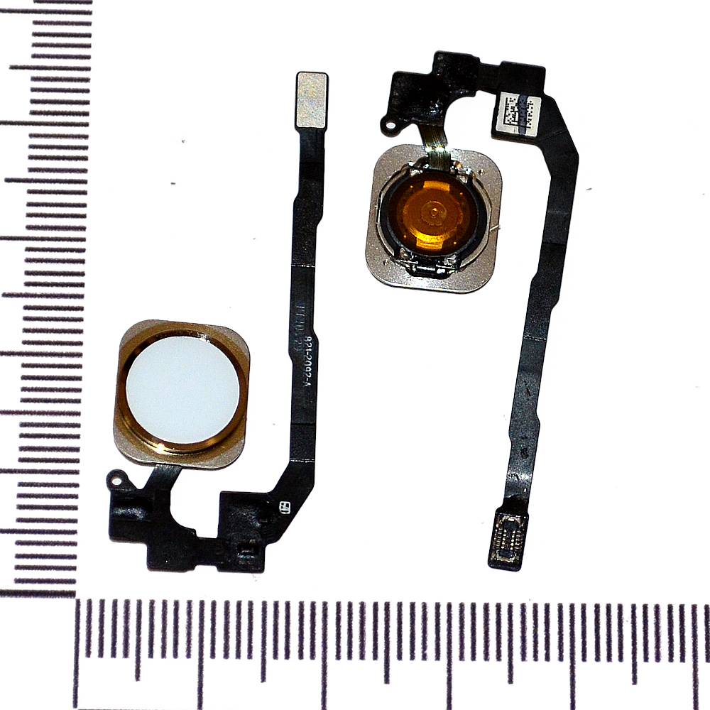 Механизм кнопки HOME iPhone 5S/SE с толкателем и шлейфом золото